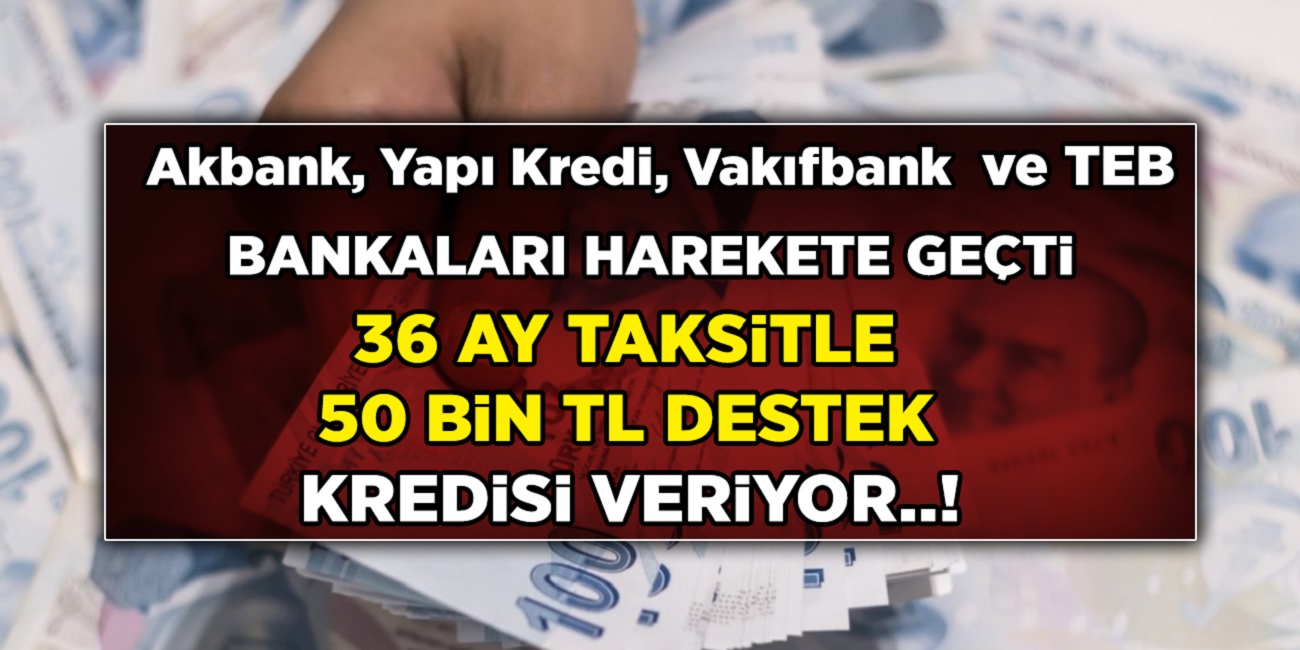 Akbank, Vakıfbank, Yapı Kredi ve TEB bankaları musluğu açtı! Başvuran herkese 50 Bin TL Kredi veriyor! Başvuran herkesin çantası para doldu...