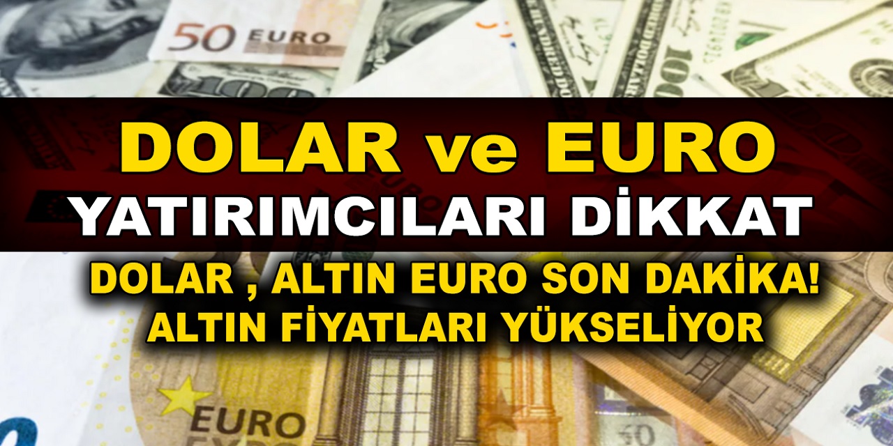 Dolar, Euro Fırladı! Euro 20 TL'yi aştı! Türk Lirası değer üstüne değer kaybediyor! DOlar, Euro, Altın güncel fiyatları...