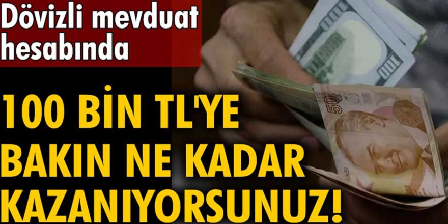 Erdoğan, Yeni Ekonomik Planı açıkladı! Dövizli mevduat hesabında 100 bin TL'ye bakın kaç TL kazanıyorsunuz...
