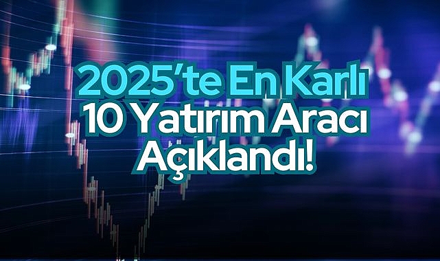 2025'te En Karlı 10 Yatırım Aracı Açıklandı!