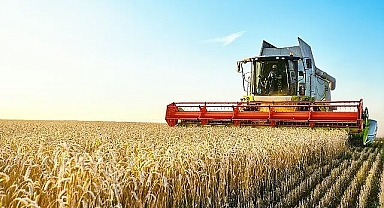 Türkiye’de Bir İlk: Buğday Fiyatına Endeksli Sukuk İhracı Gerçekleştirildi