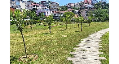 İBB’den Parklara Meyve Ağaçları Hamlesi: İstanbullular Dalından Meyve Toplayabilecek