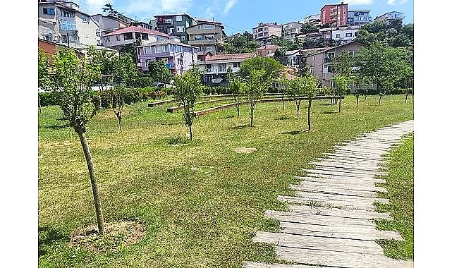 İBB’den Parklara Meyve Ağaçları Hamlesi: İstanbullular Dalından Meyve Toplayabilecek