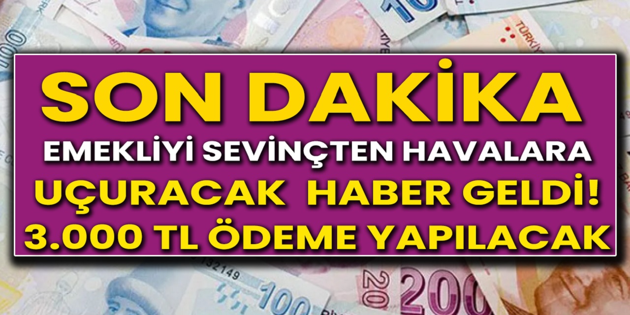Emekliler bu haberi bekliyordu! Peş peşe açıklamalar geldi! 3000 TL hesaplara yatırılacak!