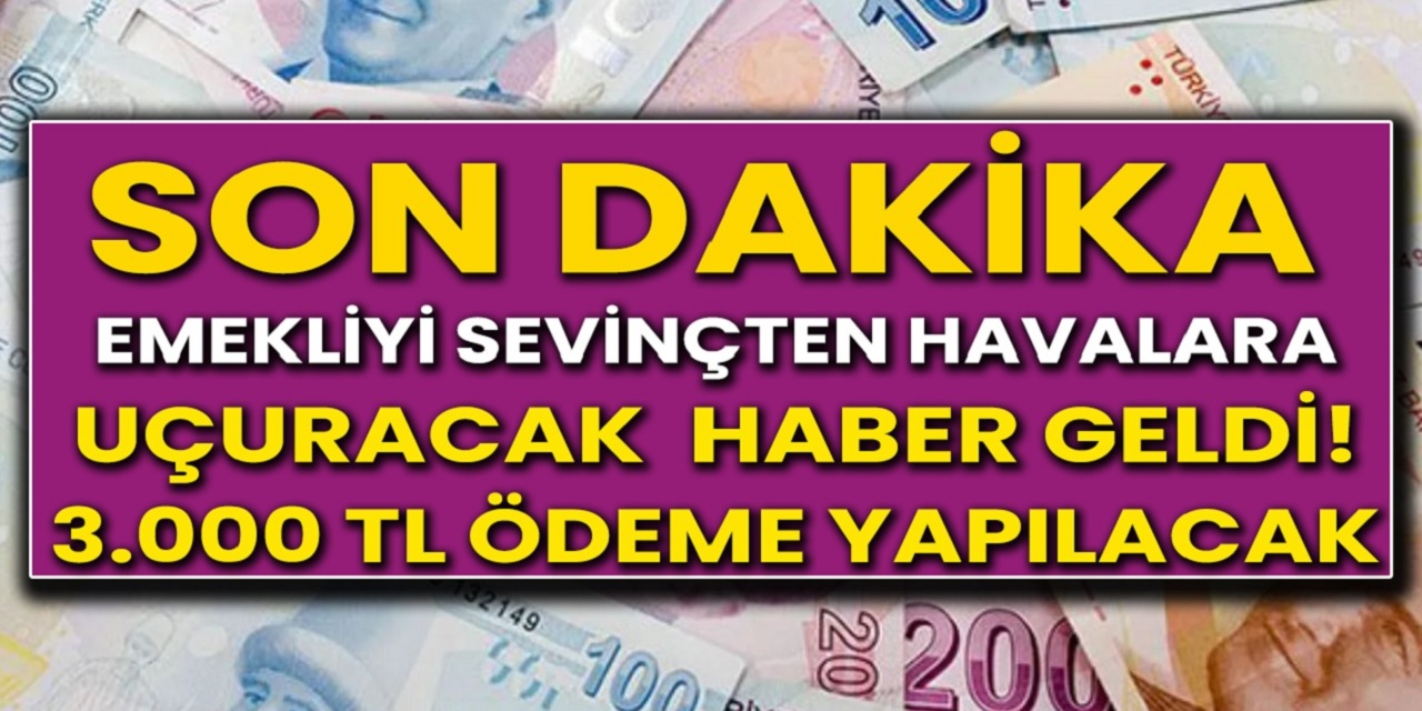 Gece yarısı internet sitesinden milyonlarca emeklinin beklediği haber resmen açıklandı! Tam 3.000 TL hesaplara yatırılacak!