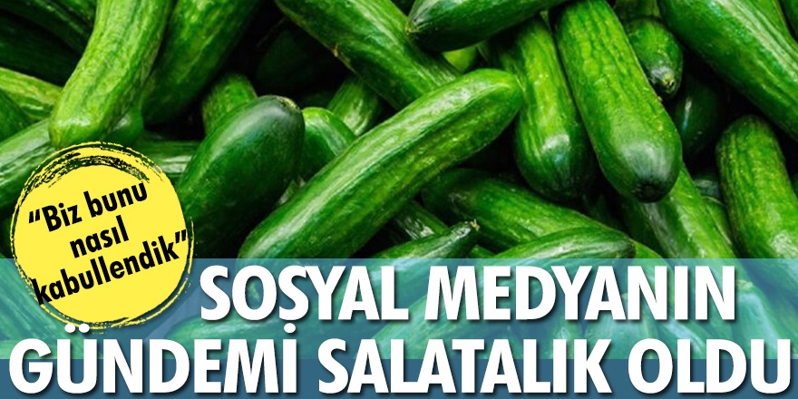Salatalık fiyatı dudak uçurdu! Sosyal medyanın gündemine bomba gibi düştü