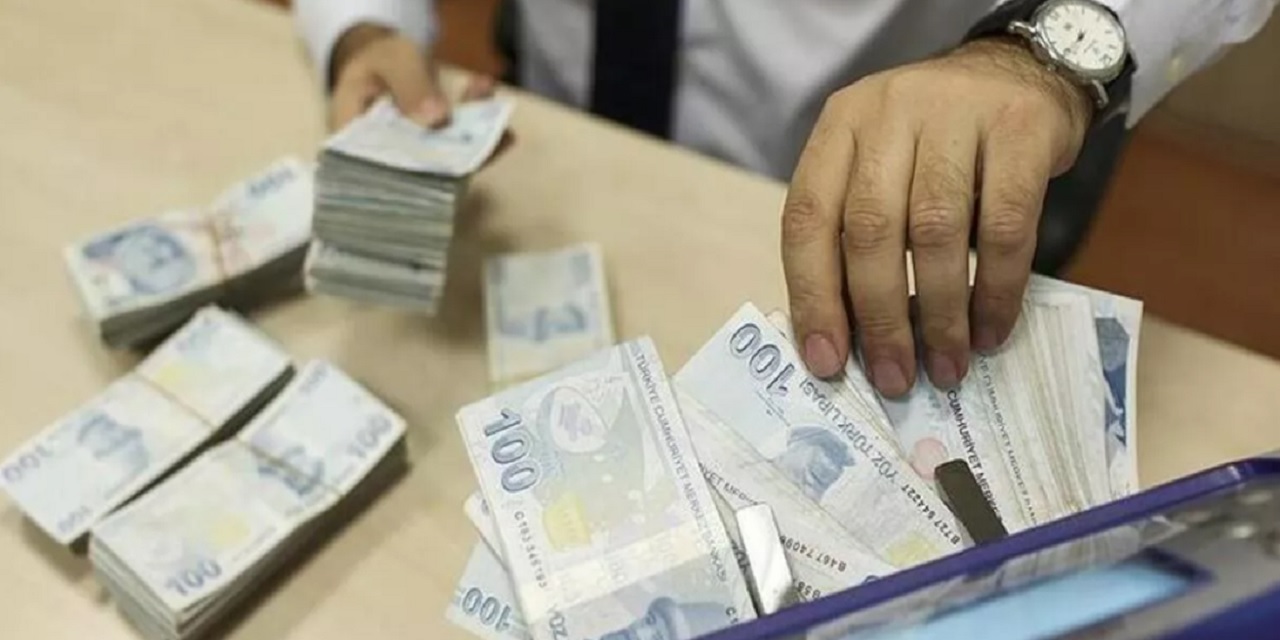 Ve e-Devlet başvuran herkese 110 bin lira faizsiz ve 2 yıl geri ödemesiz kredi müjdesi geldi!